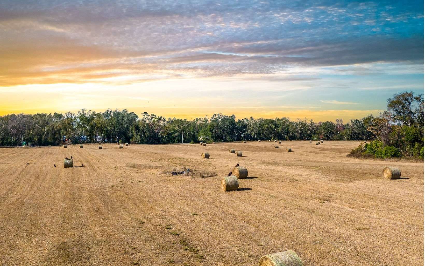 31.5 Acres of Agricultural Land for Sale in Live Oak, Florida