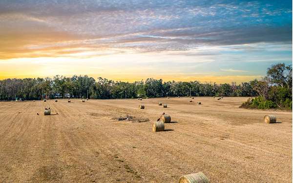 31.5 Acres of Agricultural Land for Sale in Live Oak, Florida