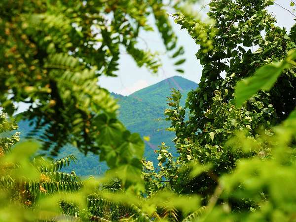 788 Acres of Recreational Land for Sale in Callaway, Virginia