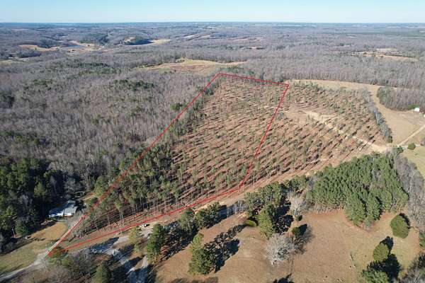 22 Acres of Recreational Land for Sale in Cypress Inn, Tennessee