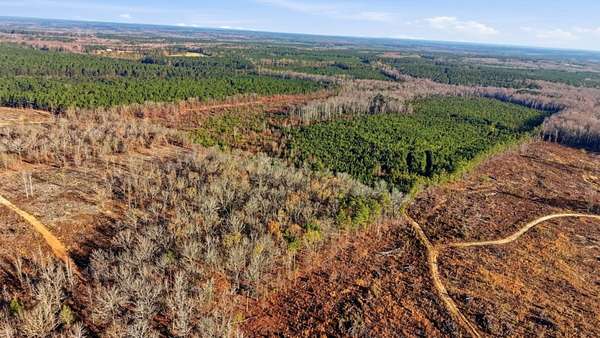 92.7 Acres of Recreational Land & Farm for Sale in Bishopville, South Carolina