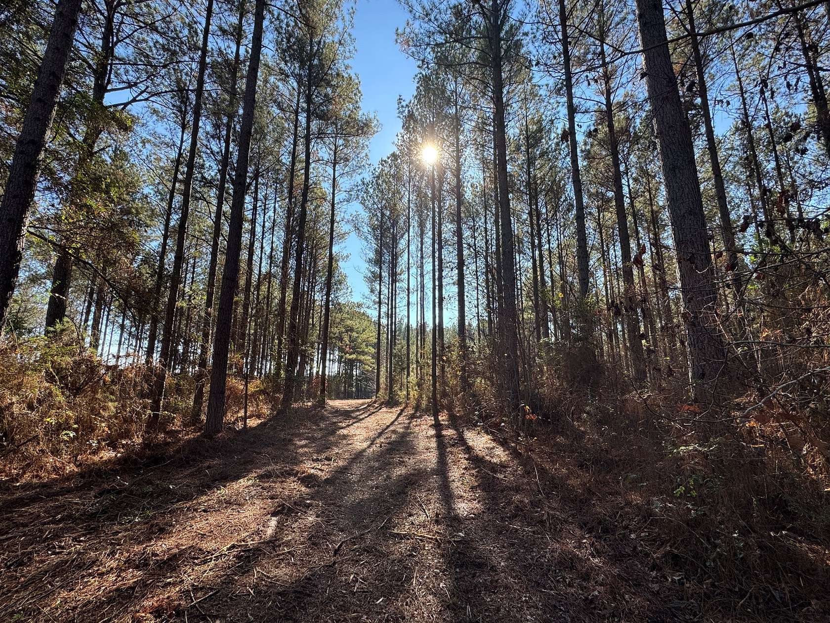 120 Acres of Recreational Land for Sale in La Fayette, Alabama