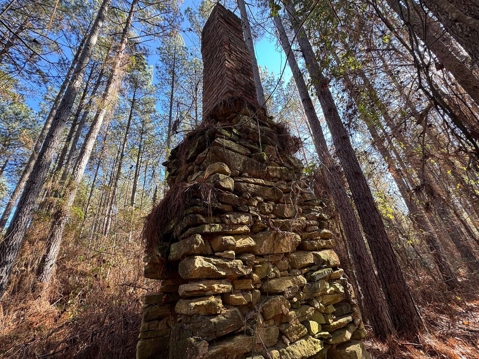 120 Acres of Recreational Land for Sale in La Fayette, Alabama
