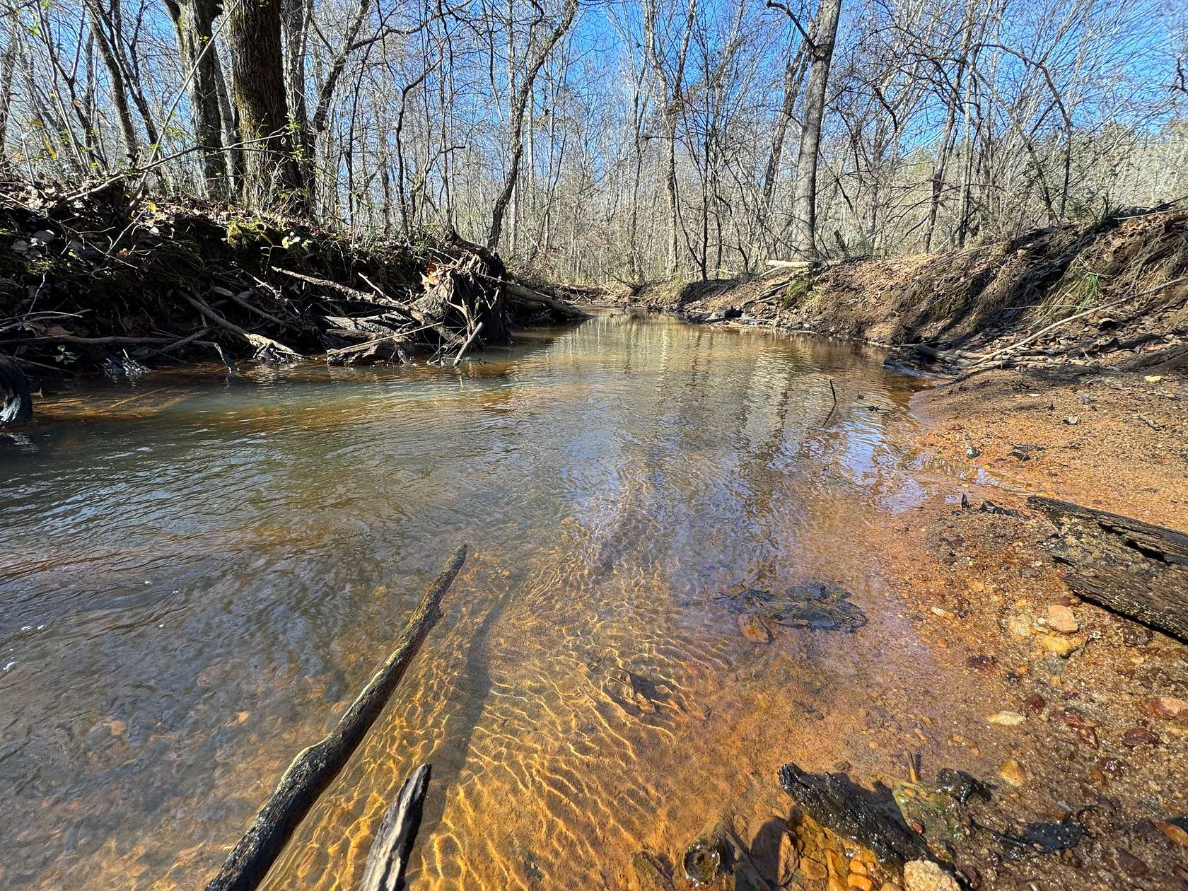 120 Acres of Recreational Land for Sale in La Fayette, Alabama