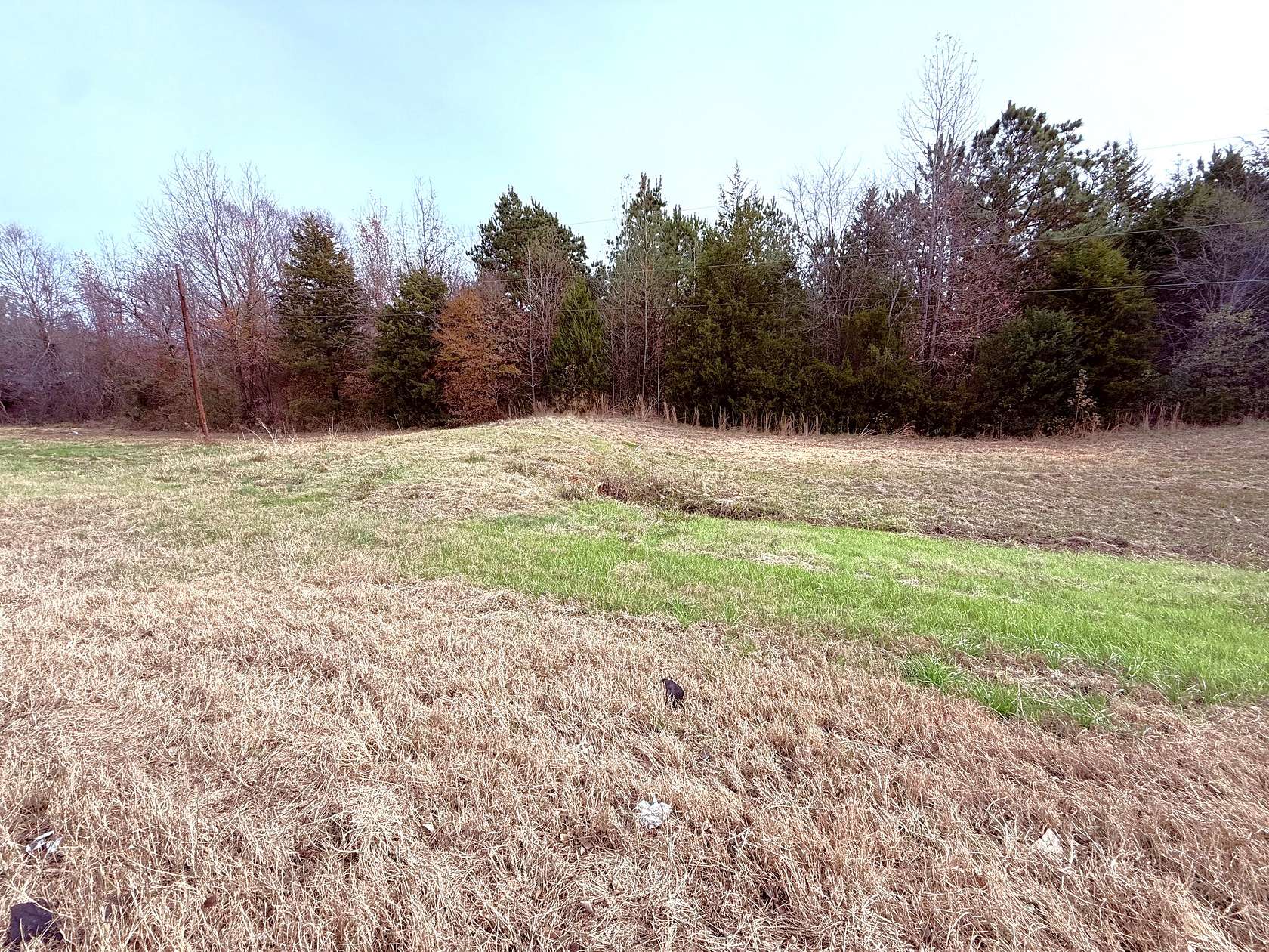 6.7 Acres of Land for Sale in Winnsboro, Texas