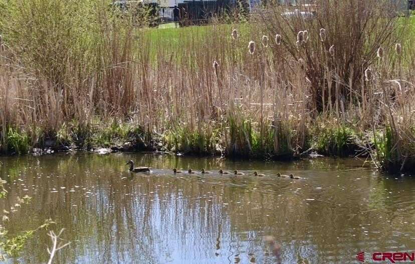 1.72 Acres of Residential Land for Sale in Pagosa Springs, Colorado