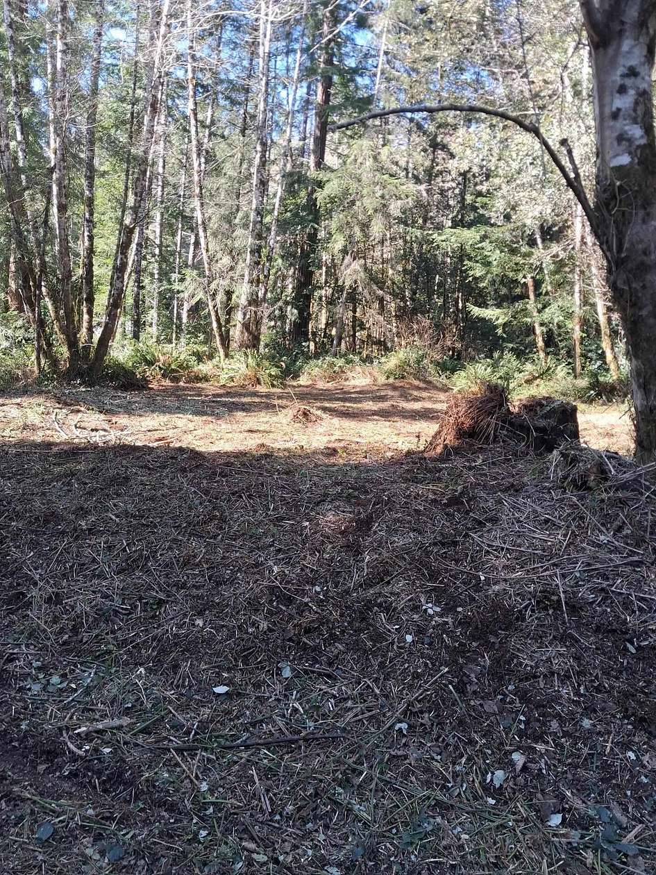 1 Acre of Residential Land for Sale in Crescent City, California