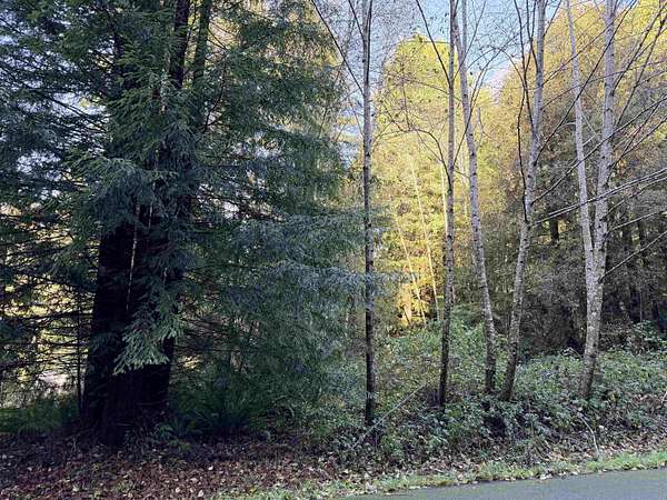 1 Acre of Residential Land for Sale in Crescent City, California