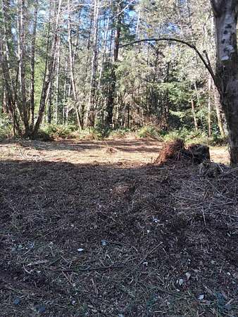 1 Acre of Residential Land for Sale in Crescent City, California