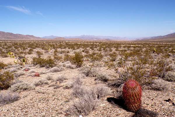 1.25 Acres of Residential Land for Sale in Meadview, Arizona