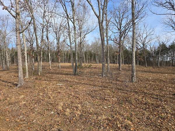 40 Acres of Recreational Land for Sale in Murfreesboro, Tennessee