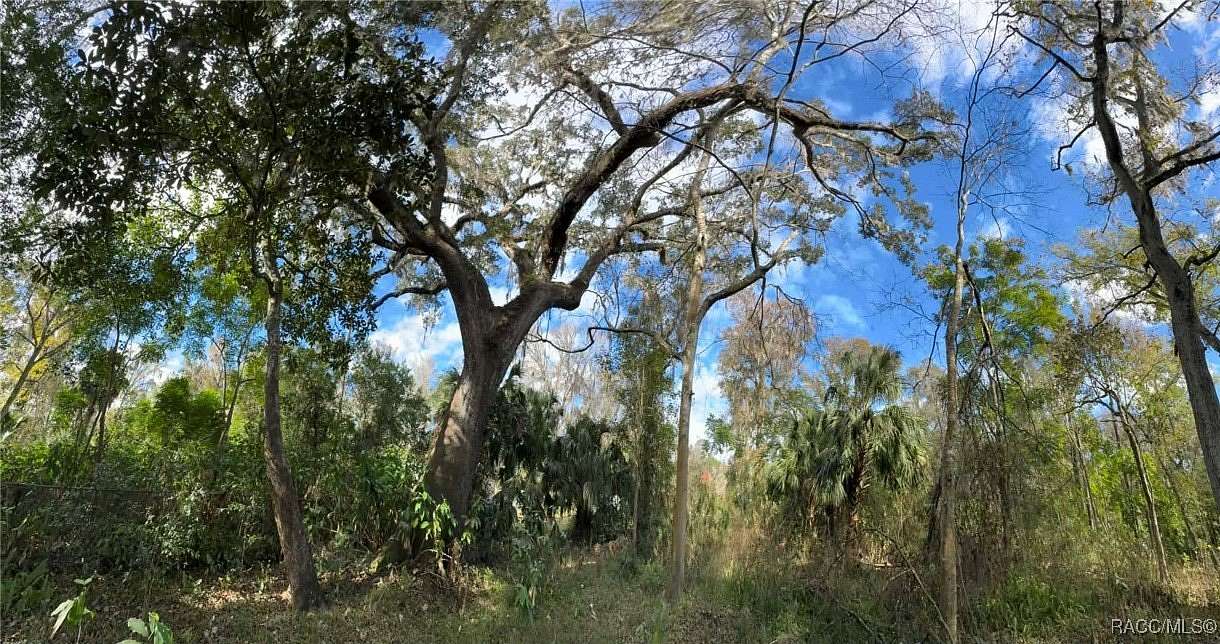 0.42 Acres of Residential Land for Sale in Inverness, Florida
