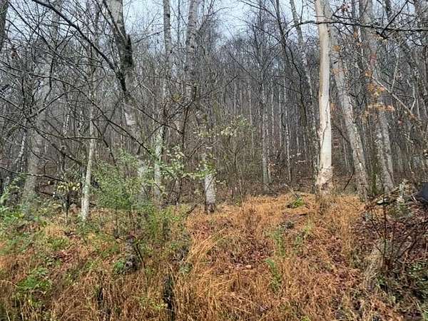 48.2 Acres of Recreational Land for Sale in Abingdon, Virginia
