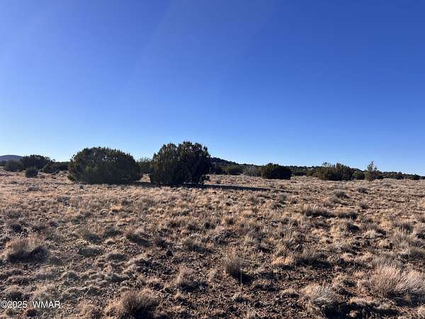 7.52 Acres of Residential Land for Sale in Vernon, Arizona
