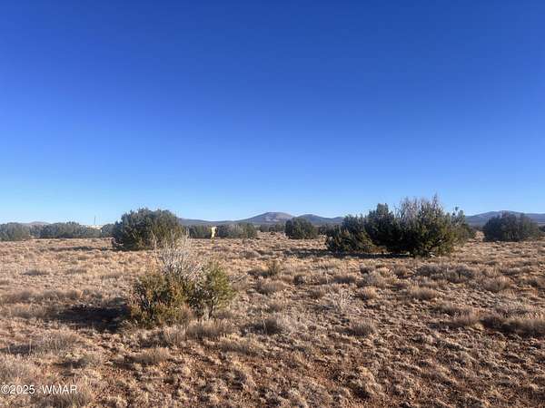 7.52 Acres of Residential Land for Sale in Vernon, Arizona