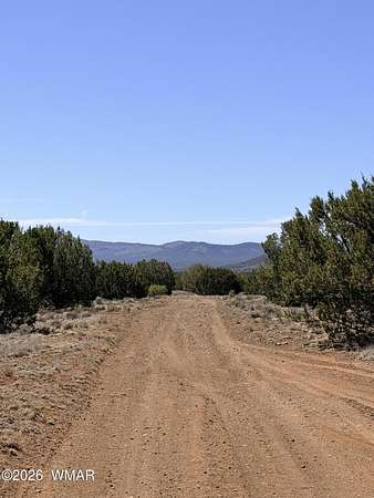 7.52 Acres of Residential Land for Sale in Vernon, Arizona