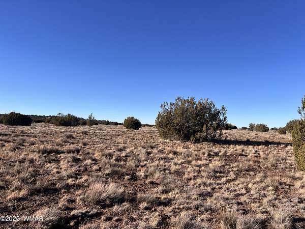 7.52 Acres of Residential Land for Sale in Vernon, Arizona