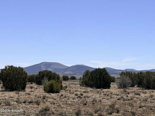 7.52 Acres of Residential Land for Sale in Vernon, Arizona