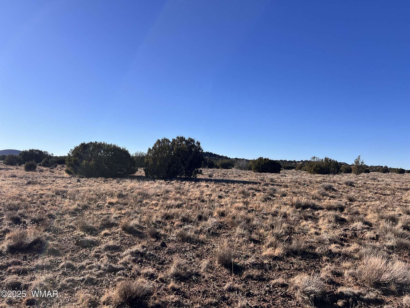 7.52 Acres of Residential Land for Sale in Vernon, Arizona