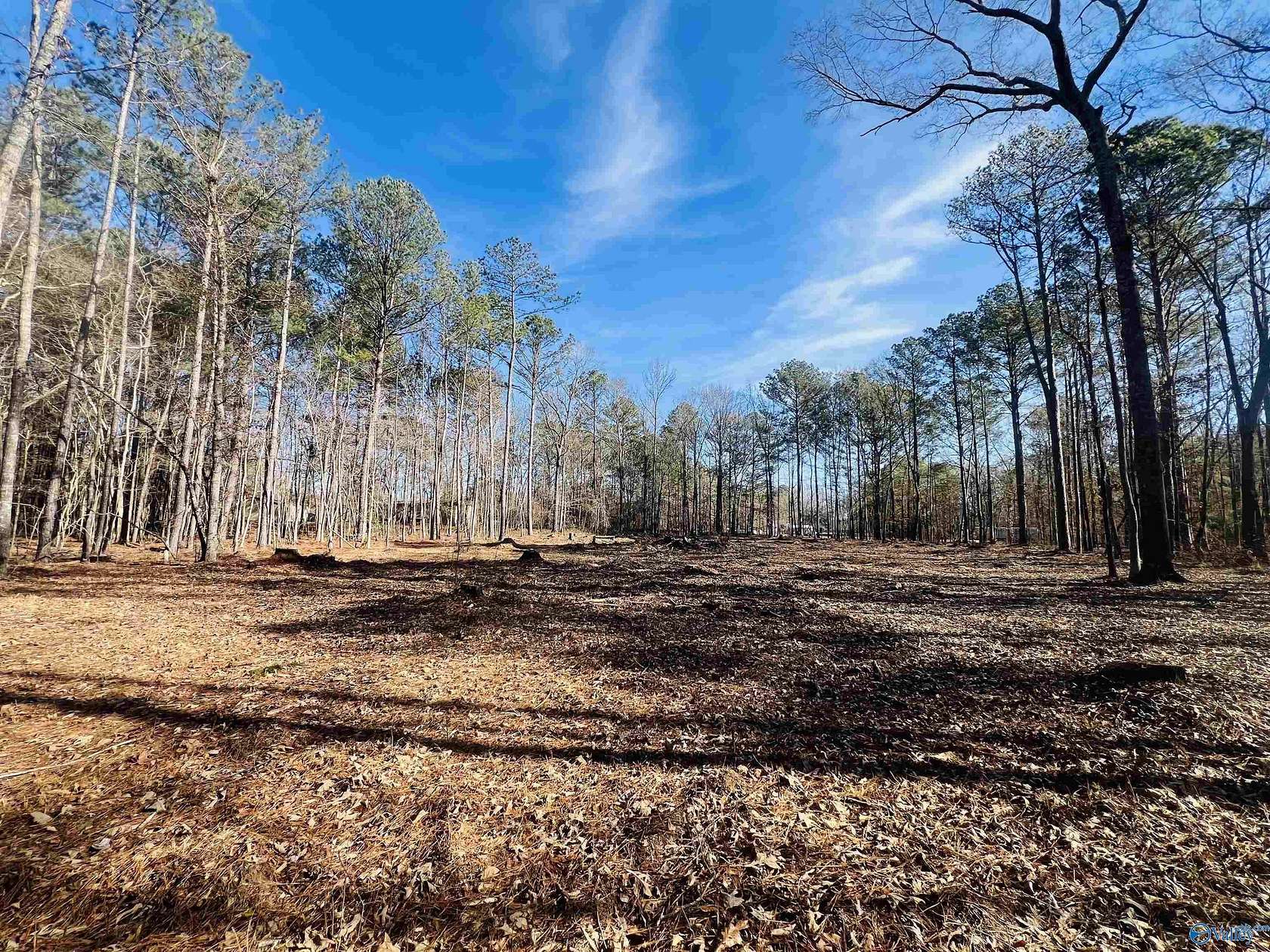 4 Acres of Residential Land for Sale in Hokes Bluff, Alabama