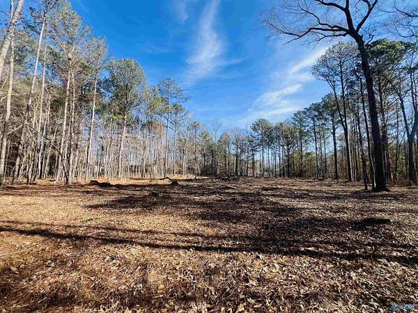 4 Acres of Residential Land for Sale in Hokes Bluff, Alabama