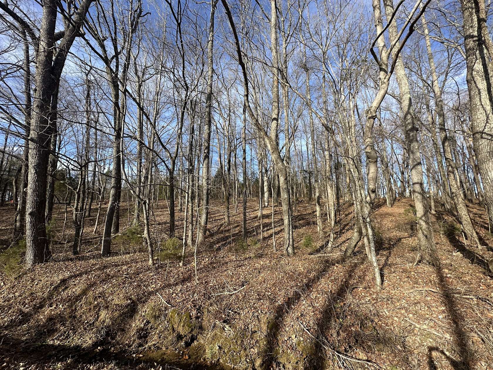 2.37 Acres of Residential Land for Sale in Portland, Tennessee