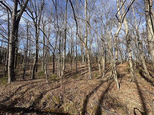 2.37 Acres of Residential Land for Sale in Portland, Tennessee