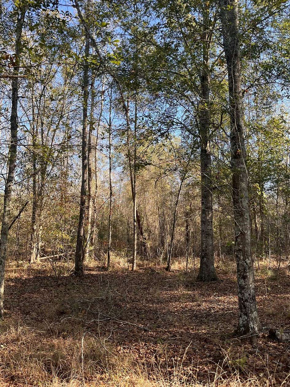 17.3 Acres of Recreational Land for Sale in Cope, South Carolina
