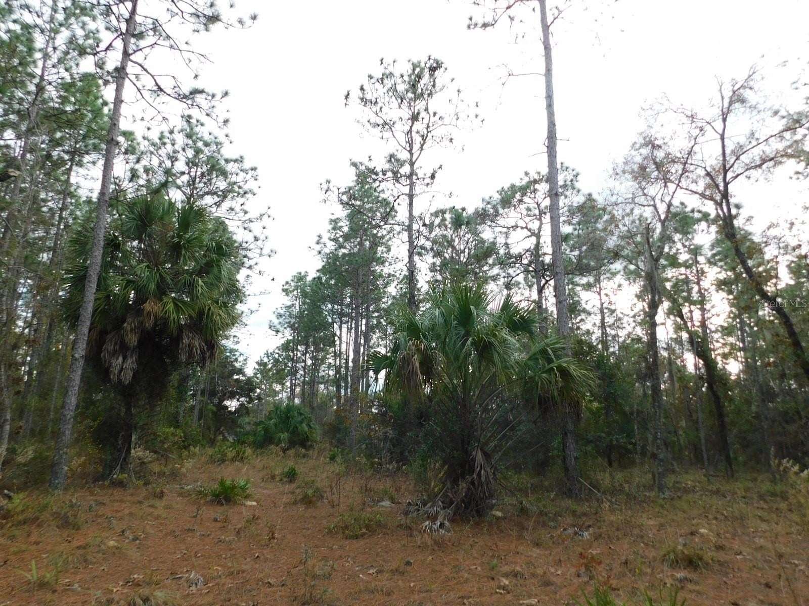 5 Acres of Land for Sale in Morriston, Florida