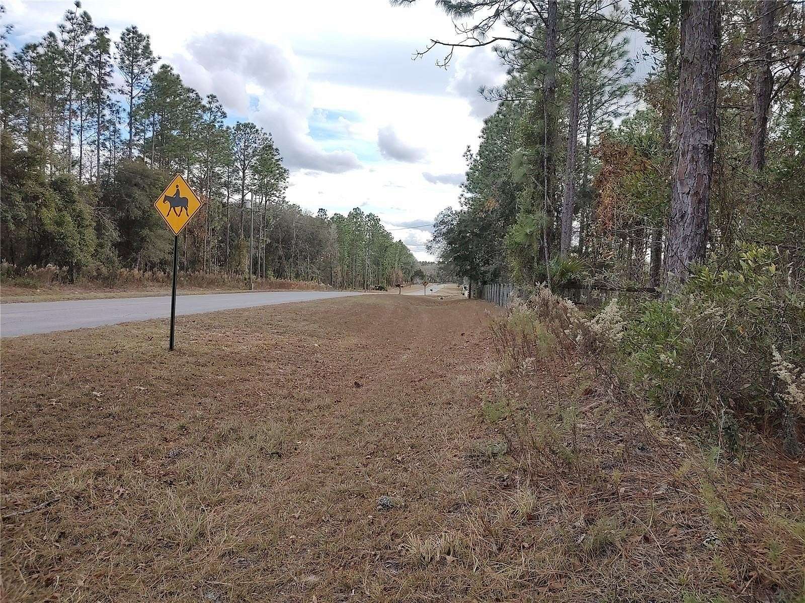 5 Acres of Land for Sale in Morriston, Florida