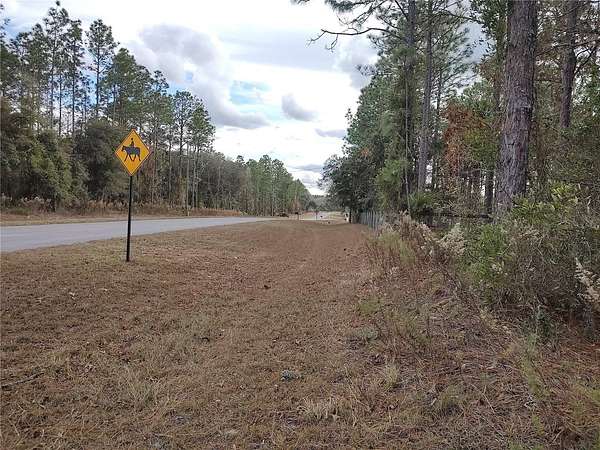 5 Acres of Land for Sale in Morriston, Florida
