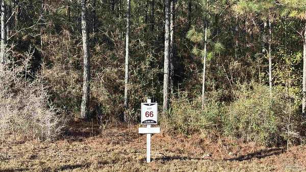 2 Acres of Residential Land for Sale in Allentown, Florida