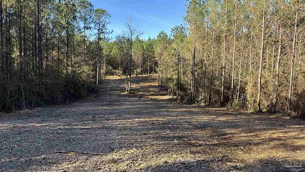 2 Acres of Residential Land for Sale in Allentown, Florida