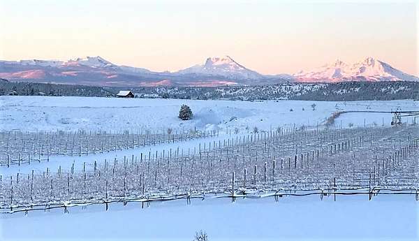 5 Acres of Residential Land for Sale in Terrebonne, Oregon