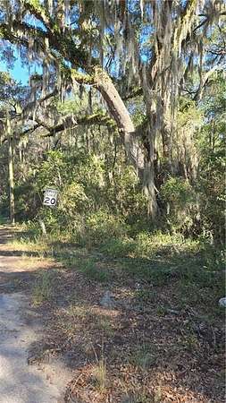 0.86 Acres of Residential Land for Sale in Darien, Georgia