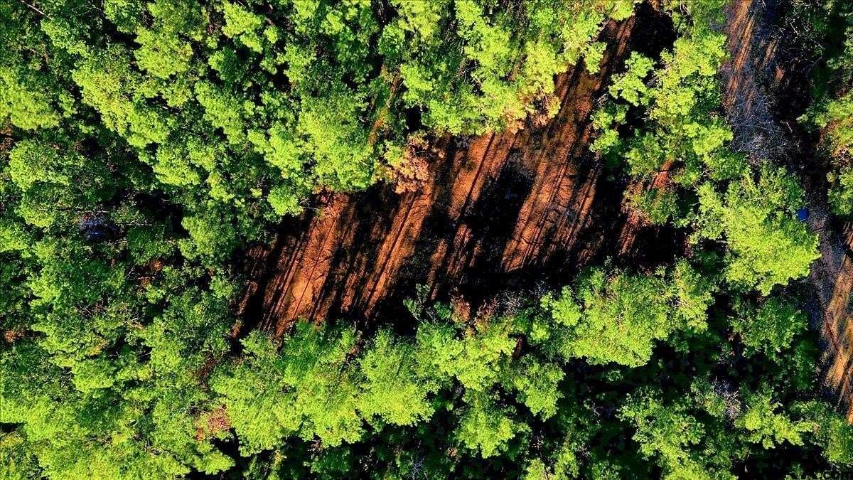 2 Acres of Residential Land for Sale in Arp, Texas