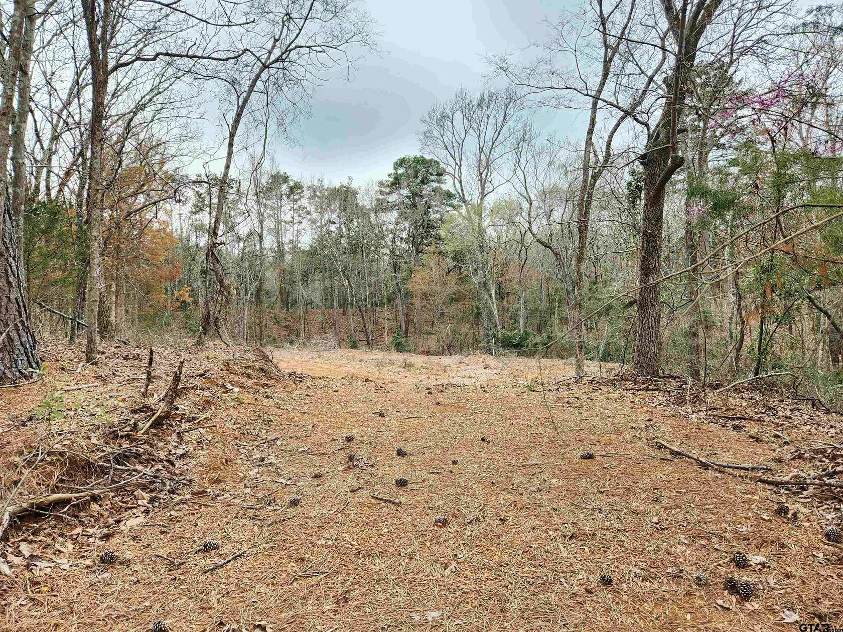 3.69 Acres of Residential Land for Sale in Lindale, Texas