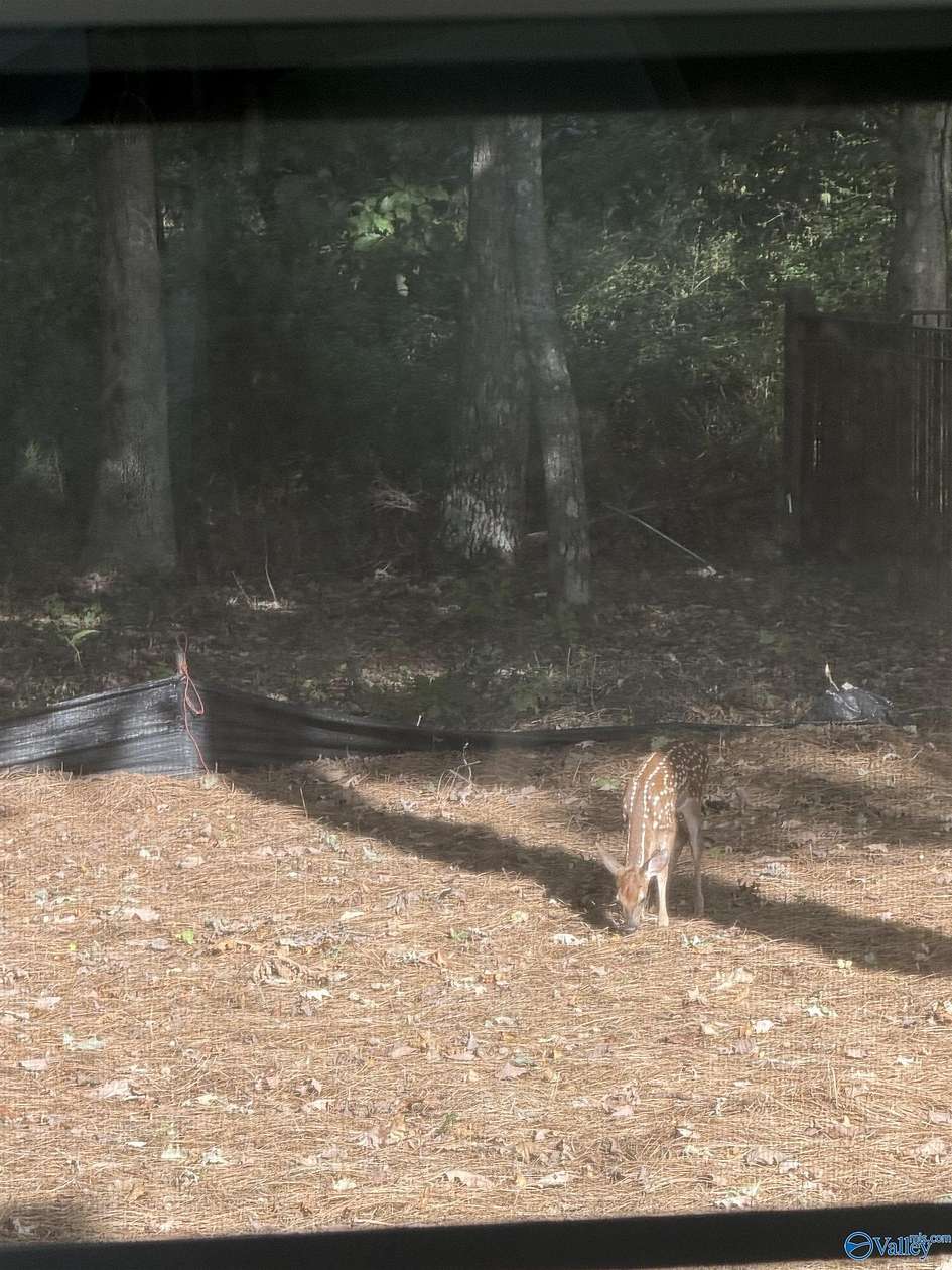 1.35 Acres of Land for Sale in Huntsville, Alabama