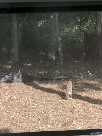 1.35 Acres of Land for Sale in Huntsville, Alabama