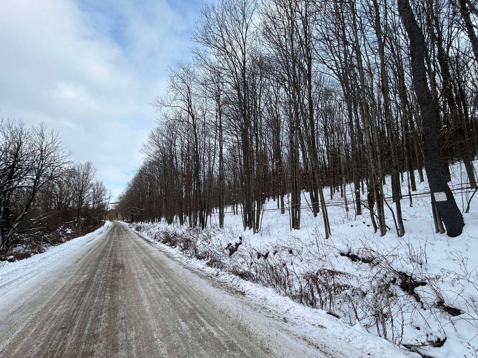 275 Acres of Land for Sale in Cherry Valley, New York