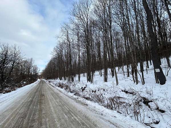 275 Acres of Land for Sale in Cherry Valley, New York