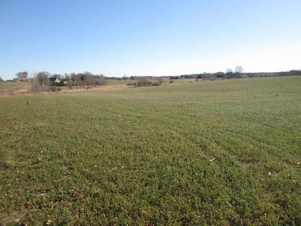 74.2 Acres of Agricultural Land for Sale in Stratford, Wisconsin