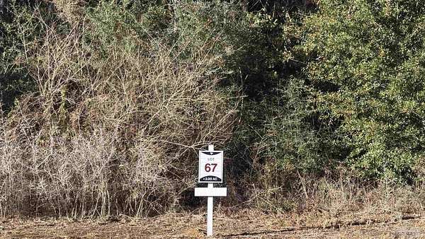 2 Acres of Residential Land for Sale in Allentown, Florida