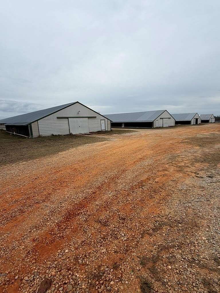 20 Acres of Agricultural Land for Sale in Clayton, Alabama