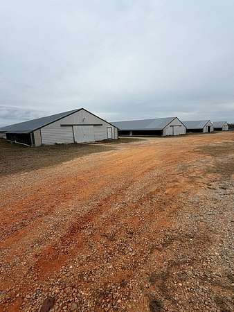 20 Acres of Agricultural Land for Sale in Clayton, Alabama