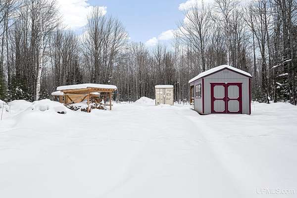 20 Acres of Recreational Land for Sale in Trenary, Michigan