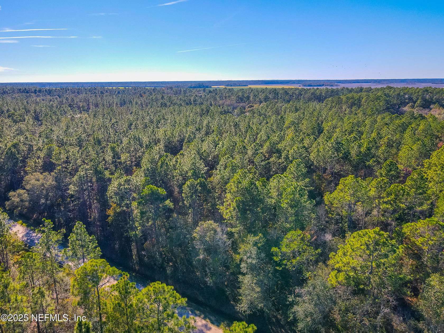 1.14 Acres of Residential Land for Sale in Hastings, Florida