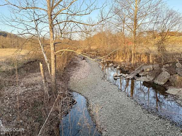 60 Acres of Land for Sale in Neosho, Missouri