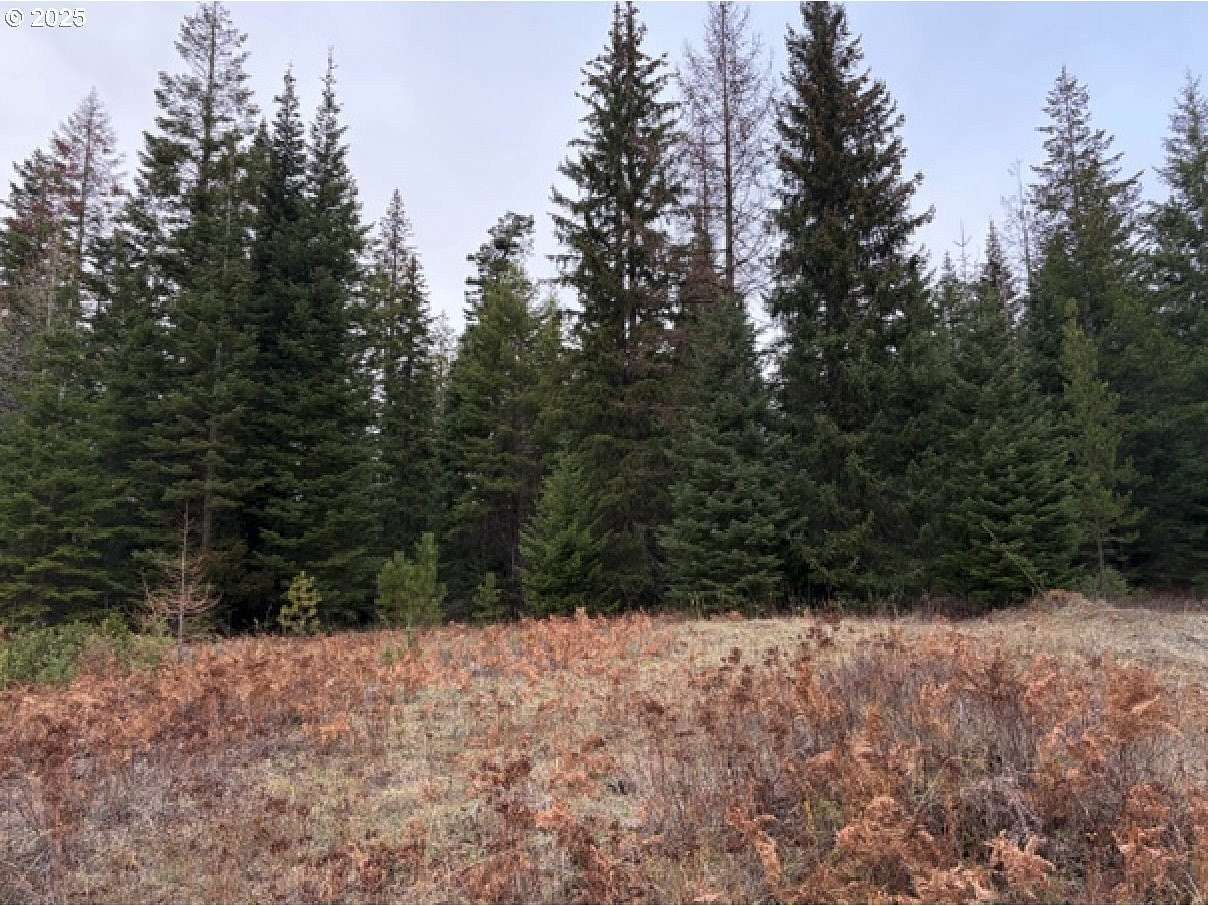 21.1 Acres of Recreational Land for Sale in Weston, Oregon