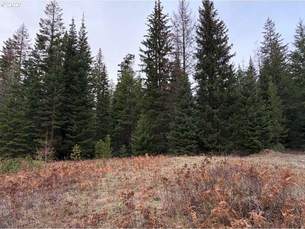 21.1 Acres of Recreational Land for Sale in Weston, Oregon